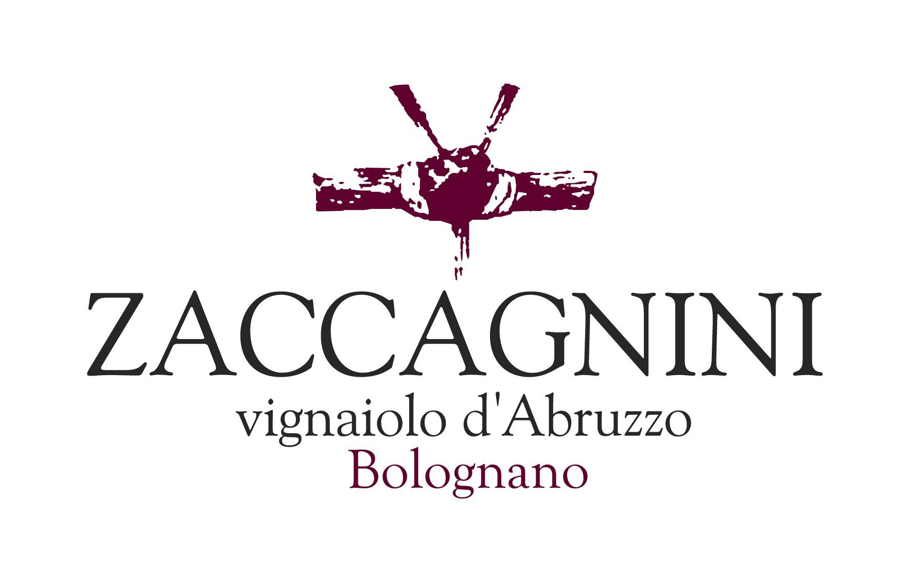 Image result for zaccagnini logo